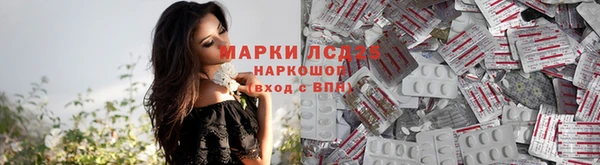 таблы Алзамай