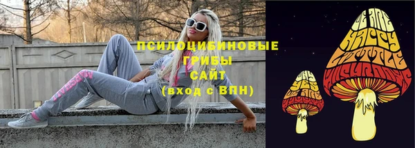 таблы Алзамай